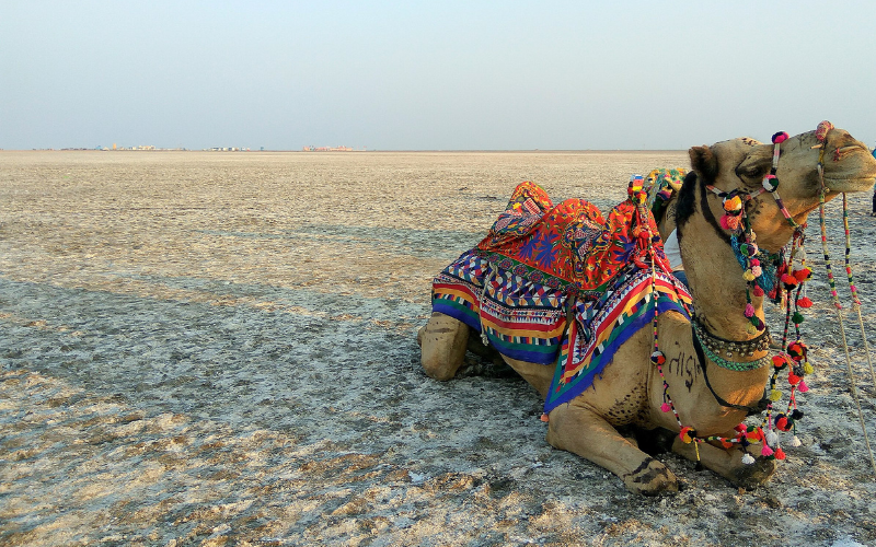 Kutch – The White Desert